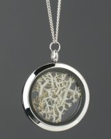 Amulet forest lichens